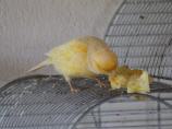 Mir schmeckts!