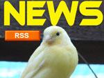RSS News