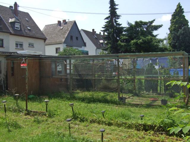 Kanarien aus unserer Kanarienwelt:Die Villa unserer Kanarien